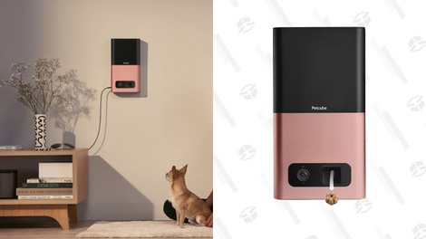 Petcube Bites Wi-Fi Pet Camera & Treat Dispenser | $125 | Chewy | Discount applied at checkout